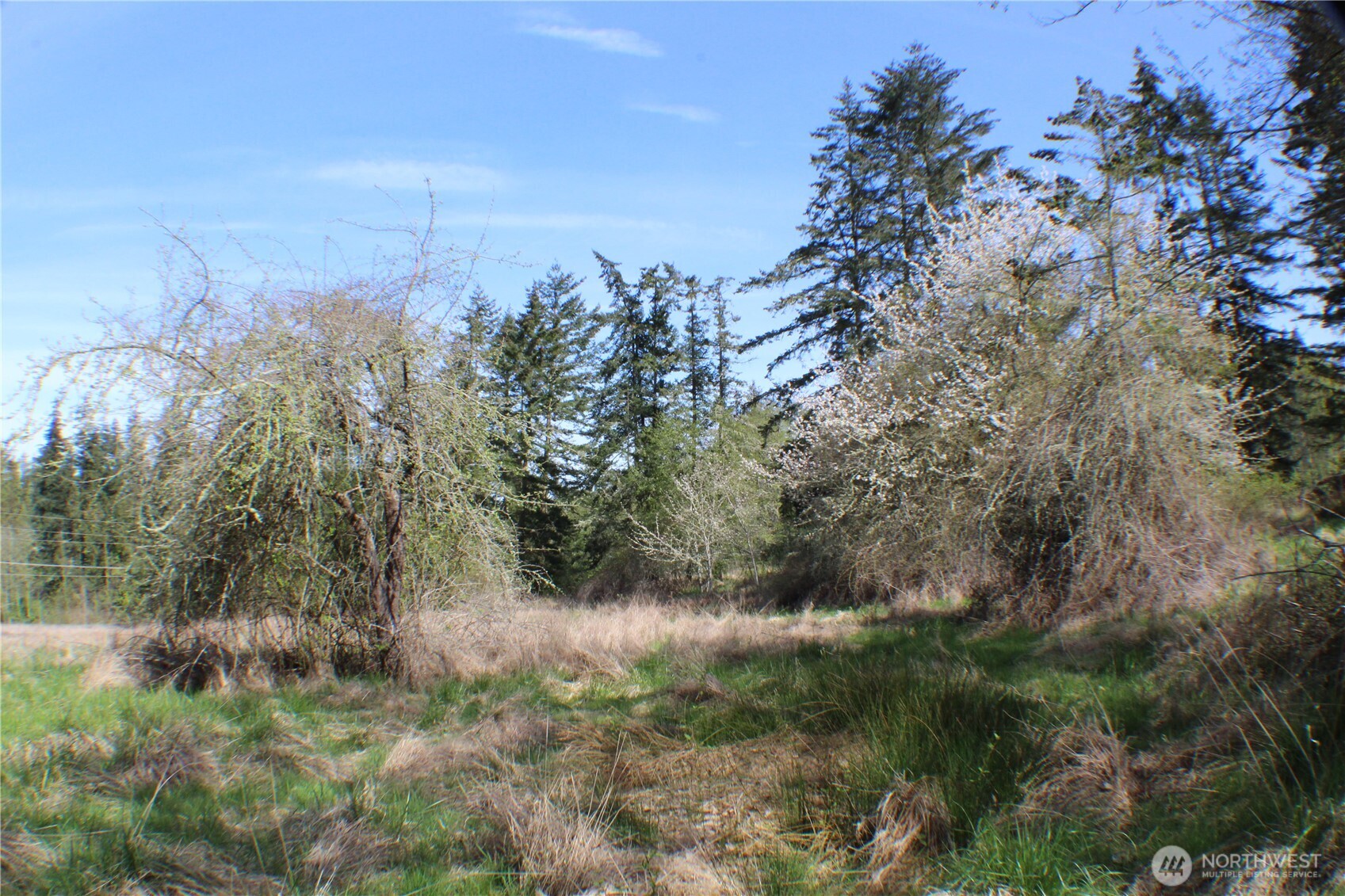 999 Oso Vista Court , Sequim, WA 98382