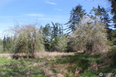 999 Oso Vista Court , Sequim, WA 98382 - Photo 8