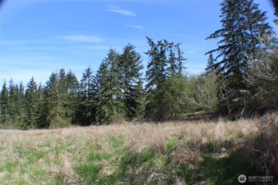 999 Oso Vista Court , Sequim, WA 98382 - Photo 9