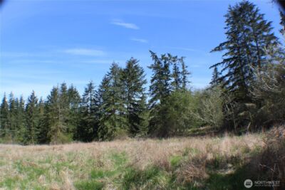 999 Oso Vista Court , Sequim, WA 98382 - Photo 10