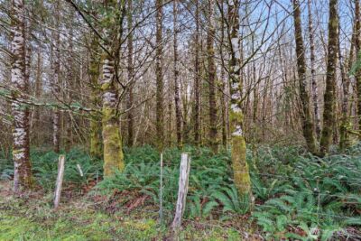 210 West Wishkah Road , Aberdeen, WA 98520 - Photo 35