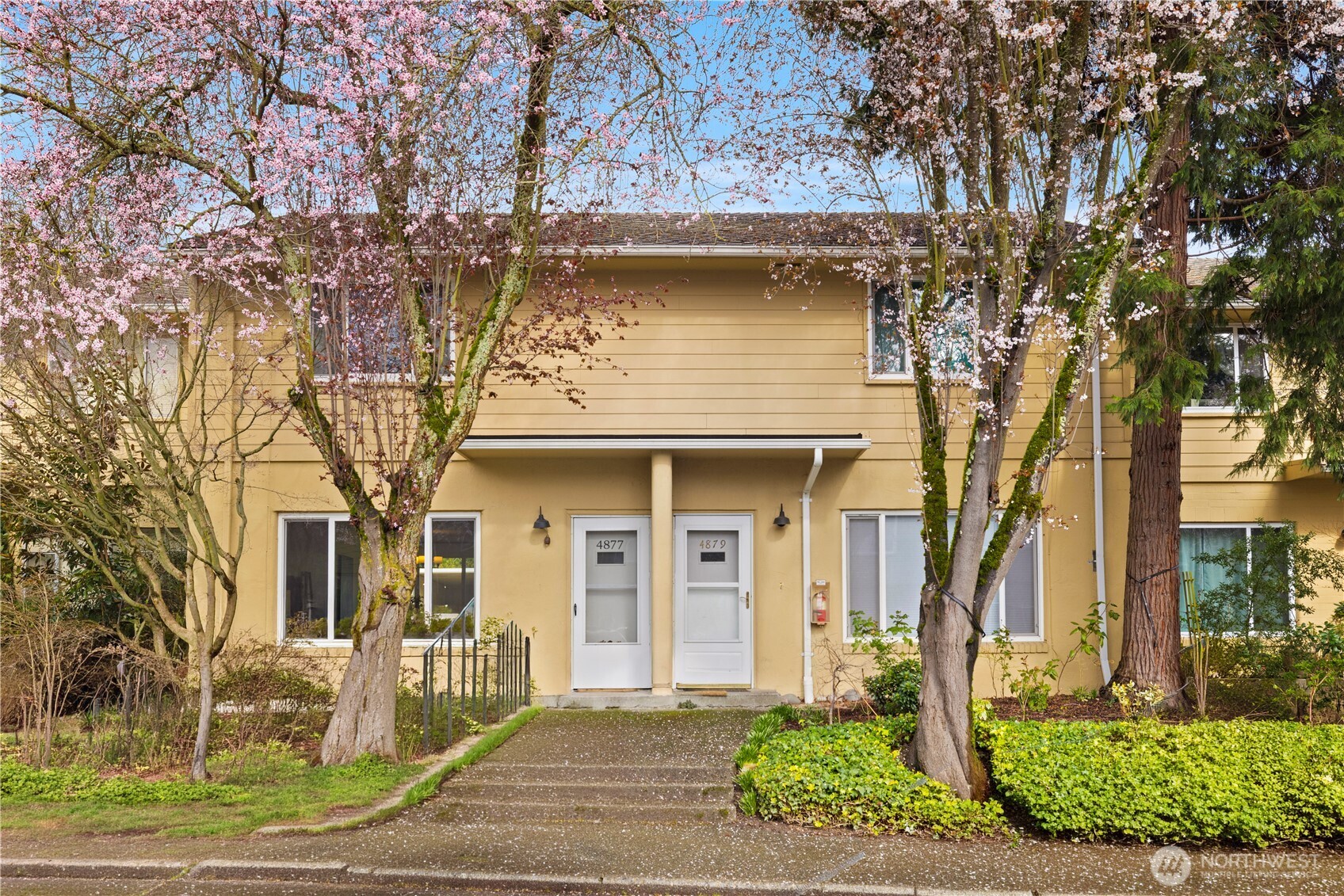 4877 Terrace Drive NE, Seattle, WA 98105