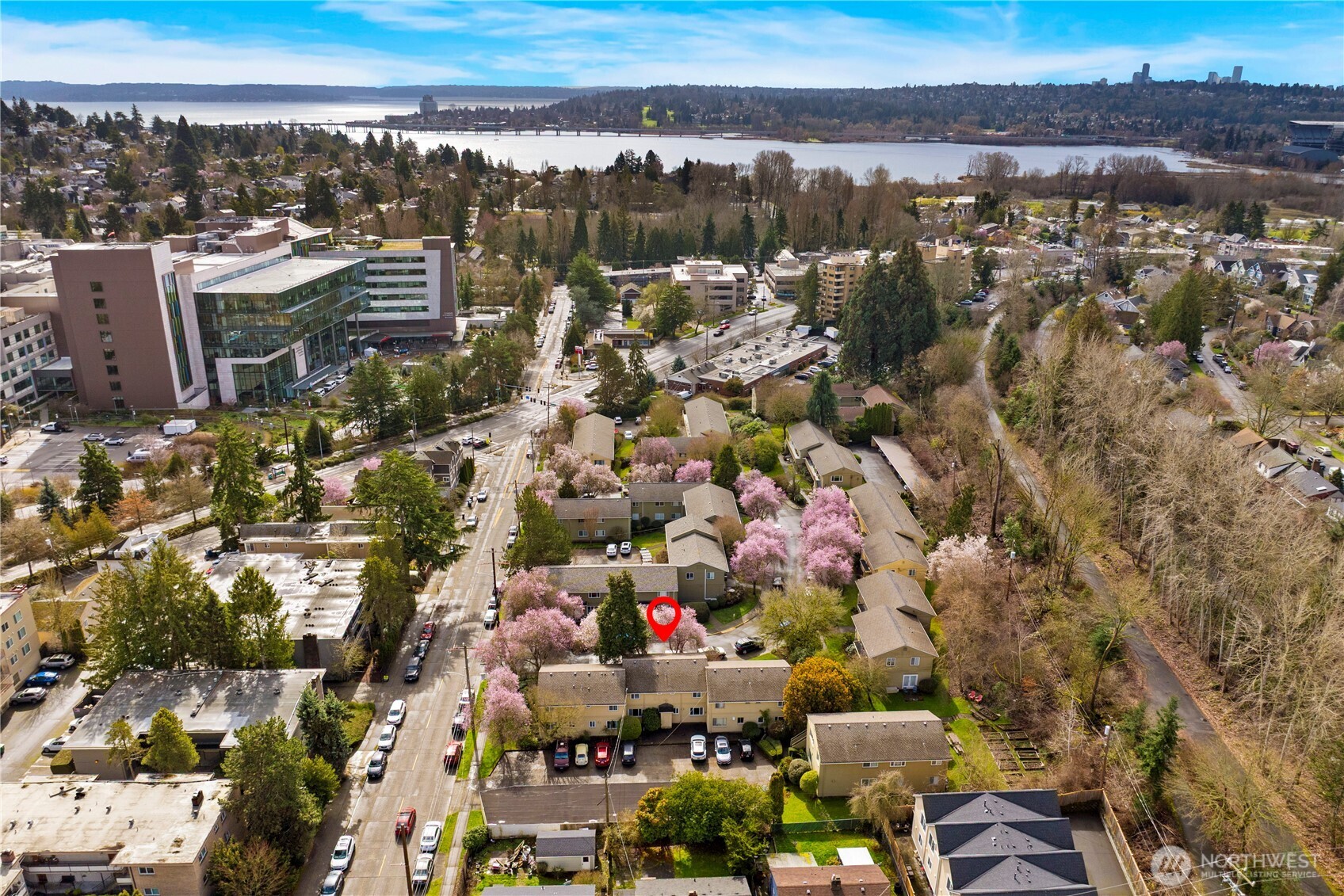 4877 Terrace Drive NE, Seattle, WA 98105