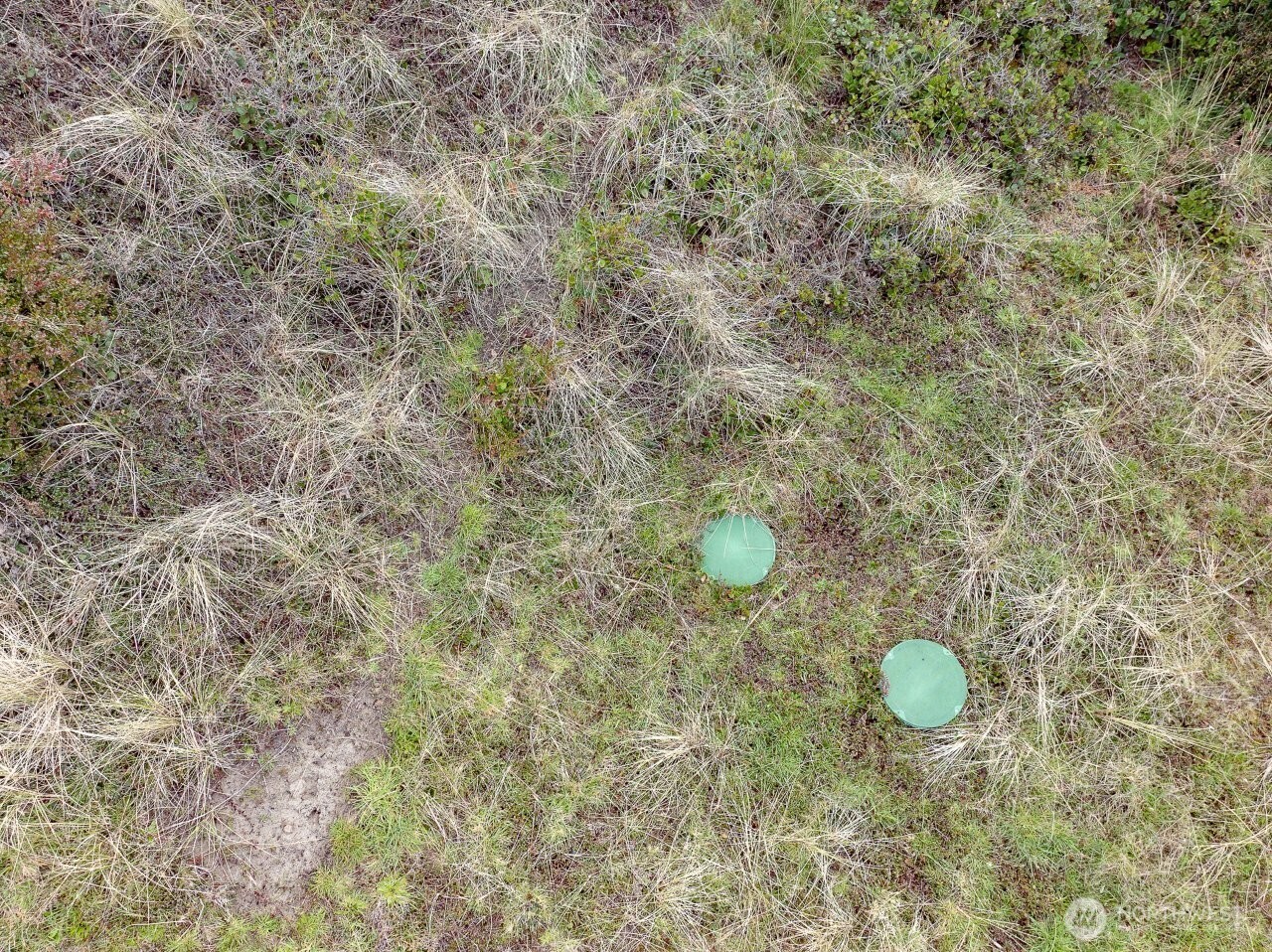 35009 J Place , Ocean Park, WA 98640