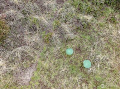 35009 J Place , Ocean Park, WA 98640 - Photo 14