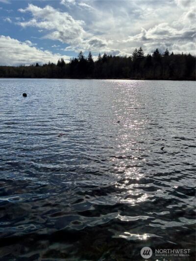 2413 Westlake Drive SE, Lacey, WA 98503 - Photo 34