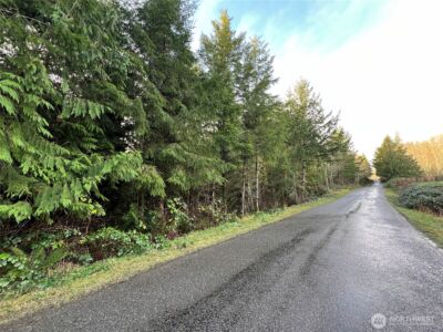 1 xxx Snow Creek Road , Quilcene, WA 98376 - Photo 2