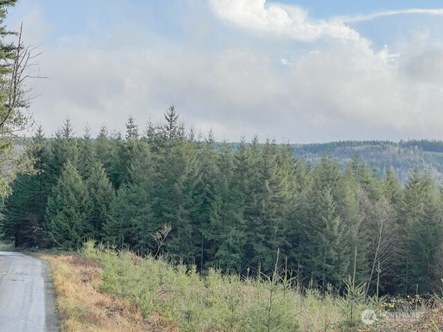 1 xxx Snow Creek Road , Quilcene, WA 98376