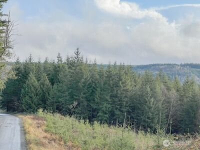 1 xxx Snow Creek Road , Quilcene, WA 98376 - Photo 3