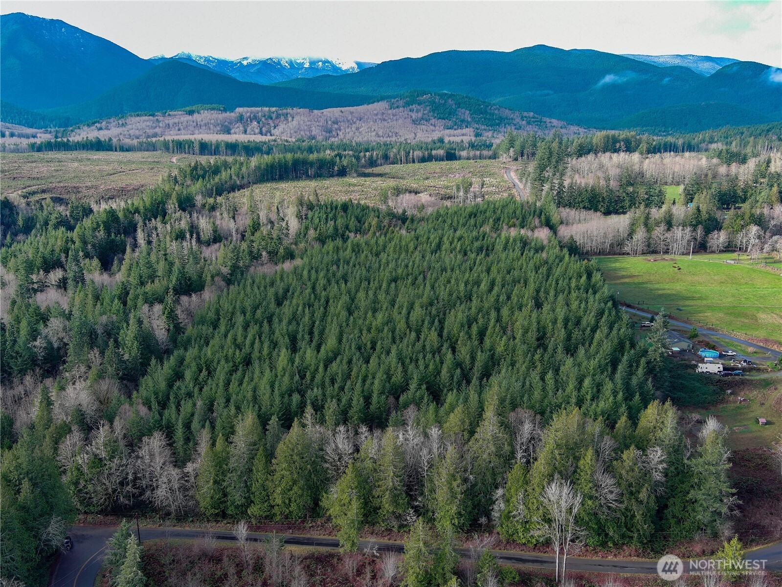 1 xxx Snow Creek Road , Quilcene, WA 98376