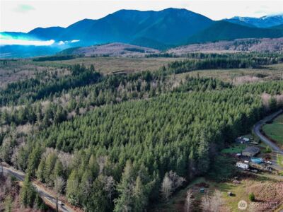 1 xxx Snow Creek Road , Quilcene, WA 98376 - Photo 9