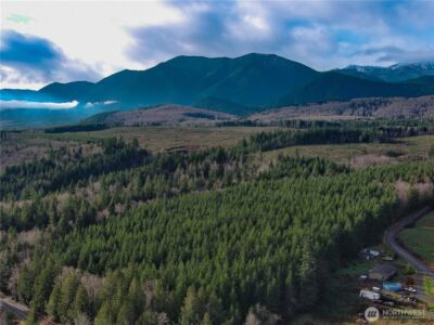 1 xxx Snow Creek Road , Quilcene, WA 98376 - Photo 10