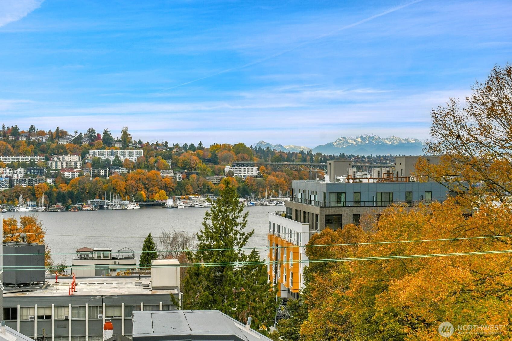 261 E Louisa Street , Seattle, WA 98102