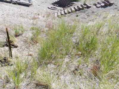 34315 G Street , Ocean Park, WA 98640 - Photo 14