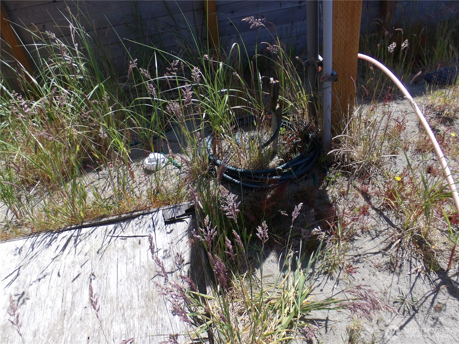 34315 G Street , Ocean Park, WA 98640