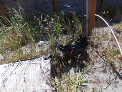 34315 G Street , Ocean Park, WA 98640 - Photo 16