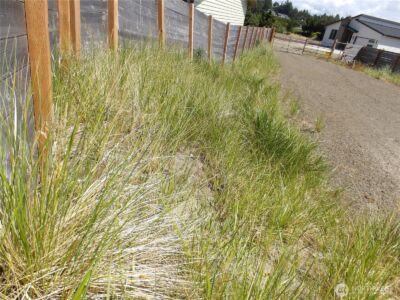 34315 G Street , Ocean Park, WA 98640 - Photo 17