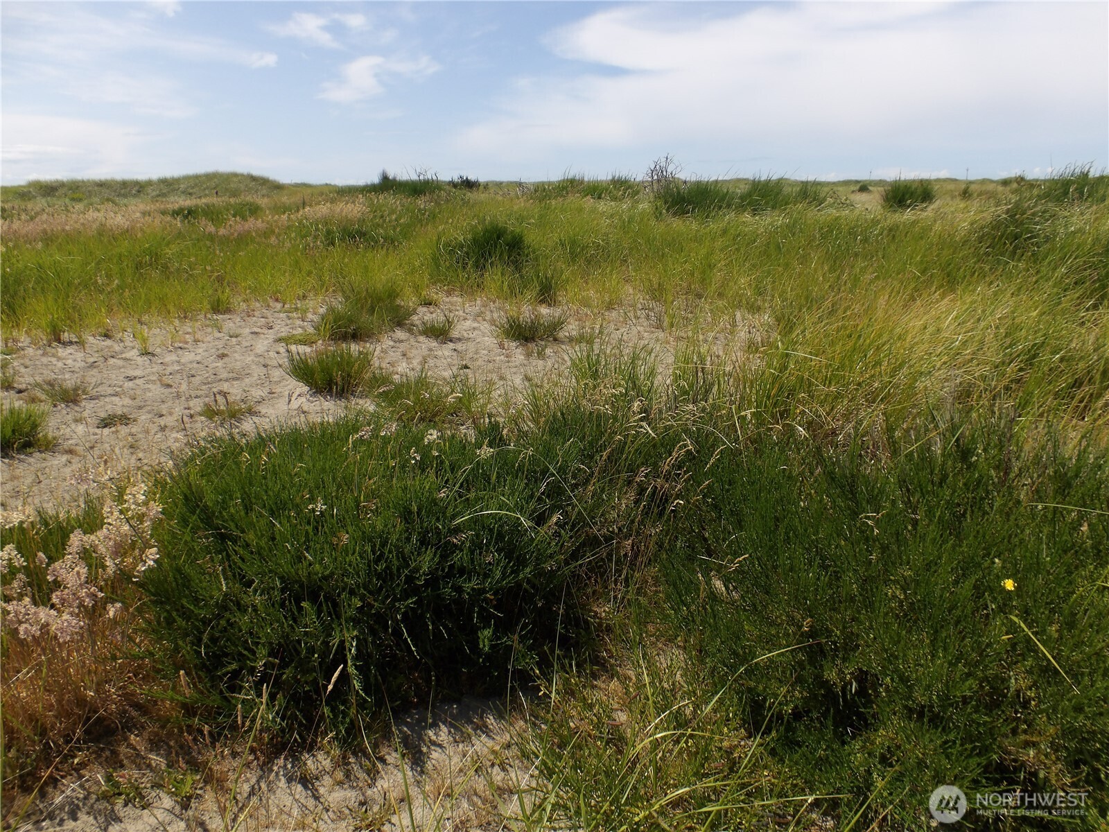 34315 G Street , Ocean Park, WA 98640