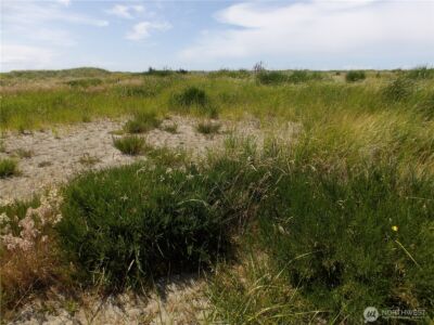 34315 G Street , Ocean Park, WA 98640 - Photo 9