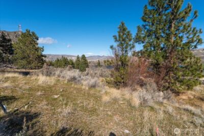 15315 Lakeview Street , Entiat, WA 98822 - Photo 9