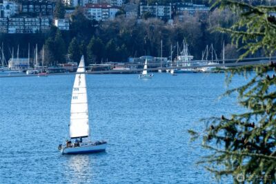 2364 Fairview Avenue E #1, Seattle, WA 98102 - Photo 39