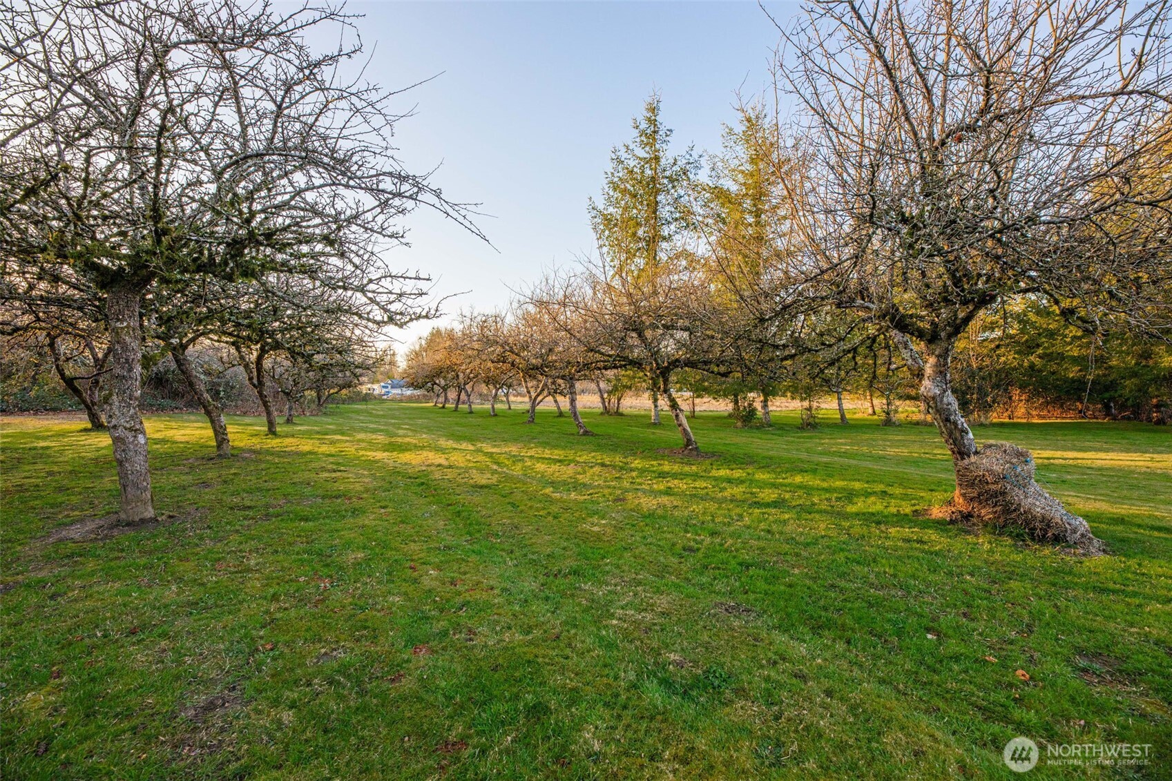 38431 147th Street SE, Gold Bar, WA 98251