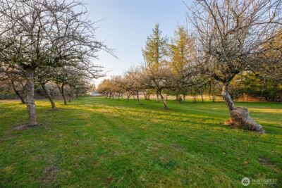 38431 147th Street SE, Gold Bar, WA 98251 - Photo 23