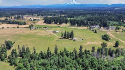 34020 40th Avenue S, Roy, WA 98580-8643 - Photo 18