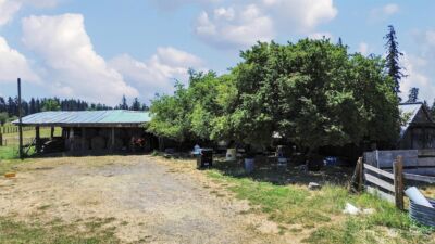 34020 40th Avenue S, Roy, WA 98580-8643 - Photo 7