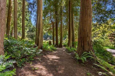 9631 Summer Hill Lane NE, Bainbridge Island, WA 98110 - Photo 23