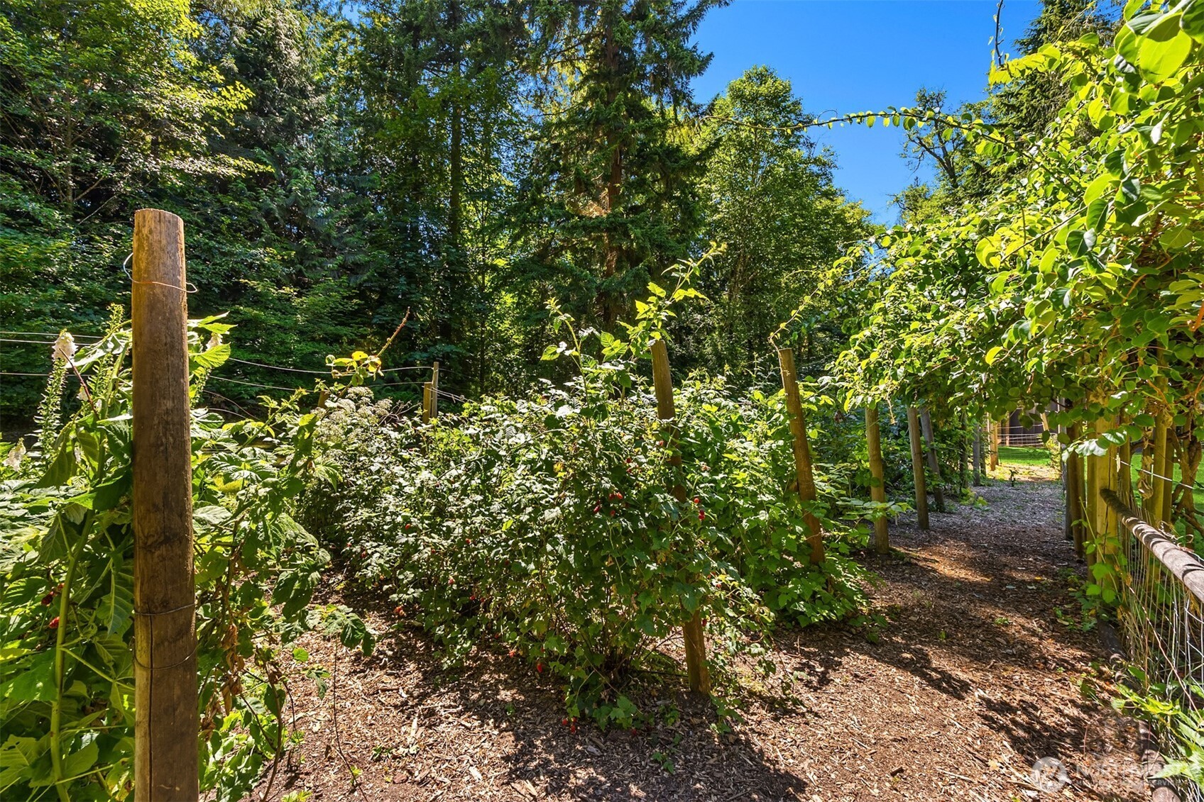 9631 Summer Hill Lane NE, Bainbridge Island, WA 98110