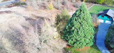 19503 22nd Avenue E, Spanaway, WA 98387-7103 - Photo 39