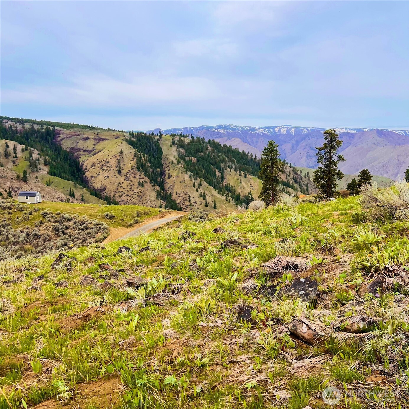 66 Coyote Lane , Waterville, WA 98843