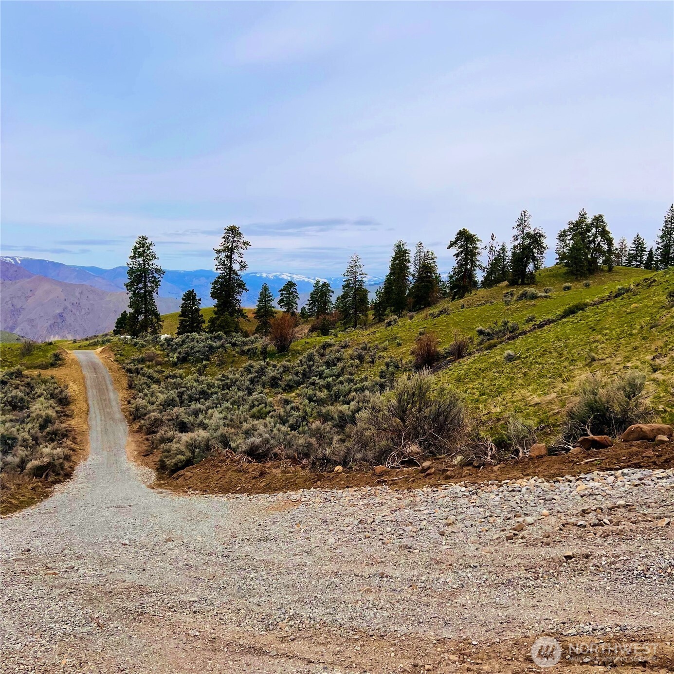 66 Coyote Lane , Waterville, WA 98843