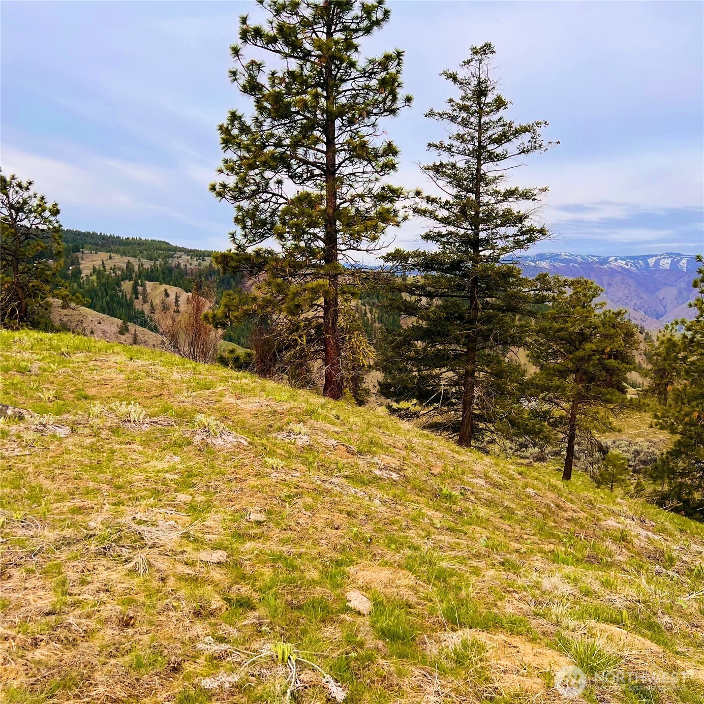 66 Coyote Lane , Waterville, WA 98843