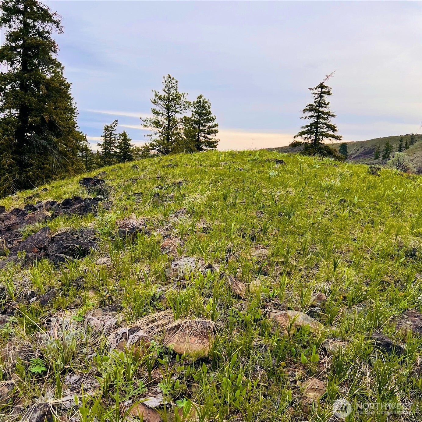 66 Coyote Lane , Waterville, WA 98843