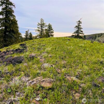 66 Coyote Lane , Waterville, WA 98843 - Photo 7