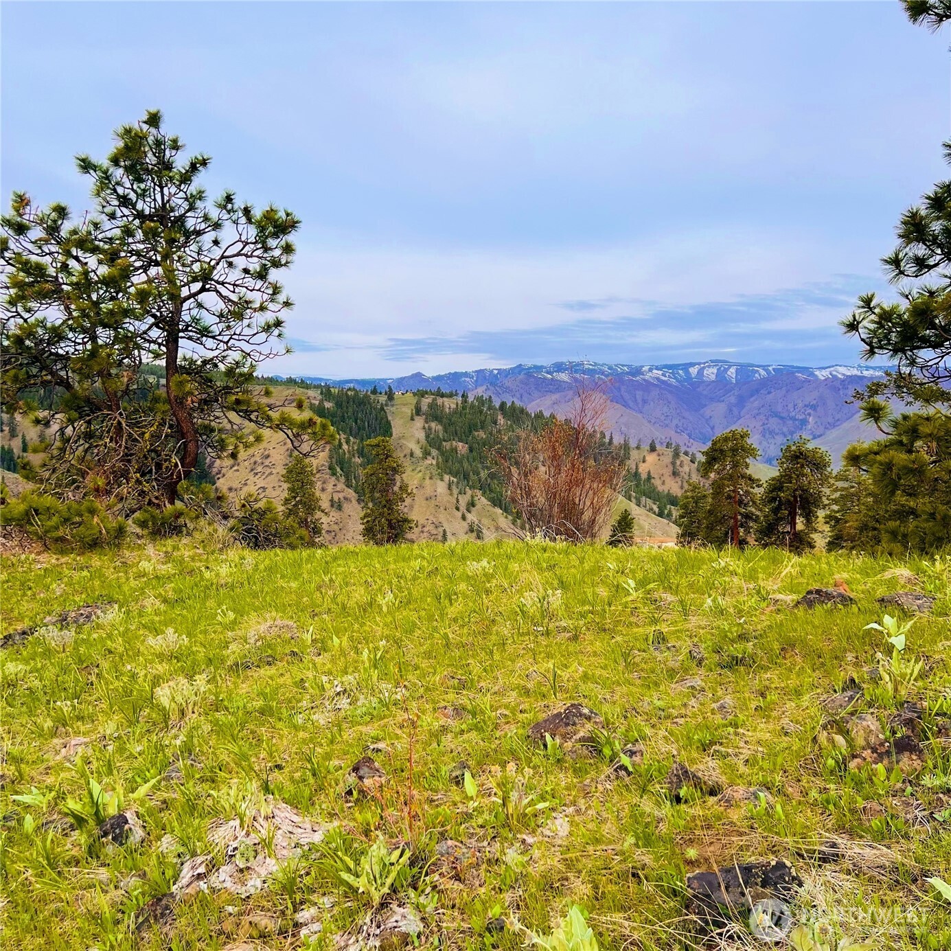 66 Coyote Lane , Waterville, WA 98843