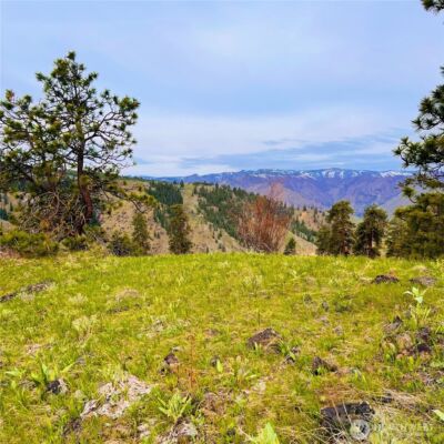 66 Coyote Lane , Waterville, WA 98843 - Photo 8