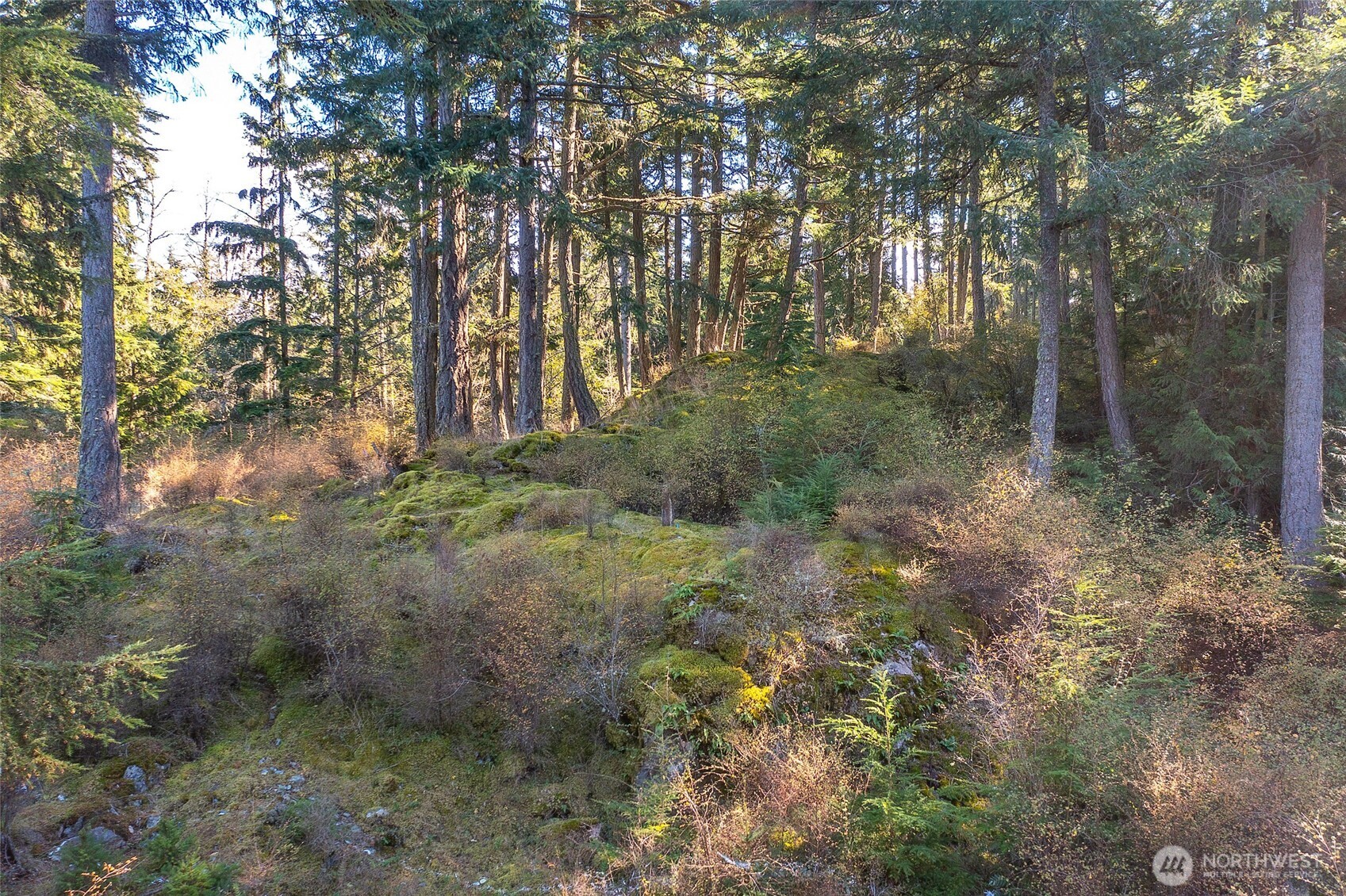 212 Eagle Lake Lane , Orcas Island, WA 98280