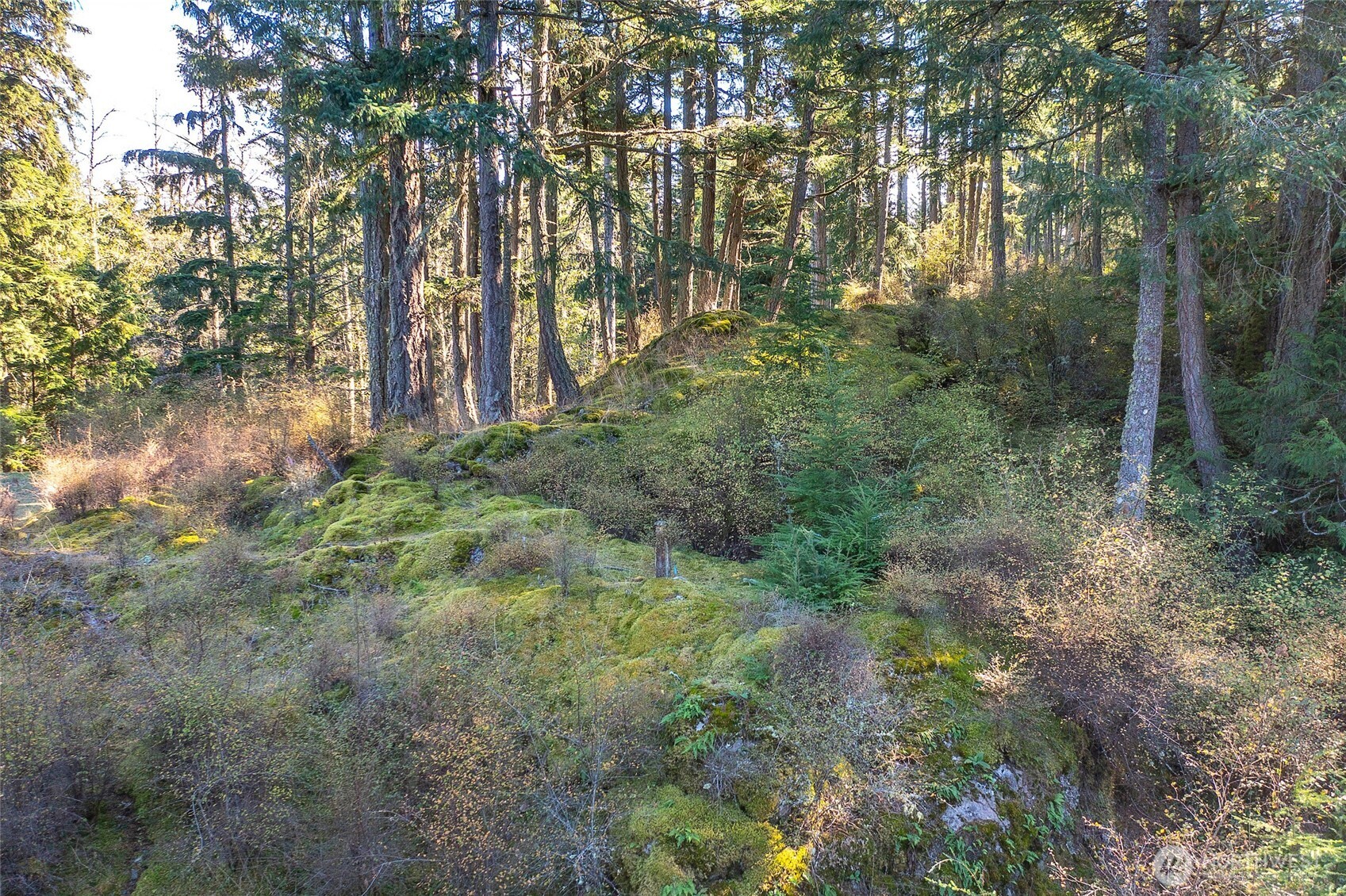 212 Eagle Lake Lane , Orcas Island, WA 98280