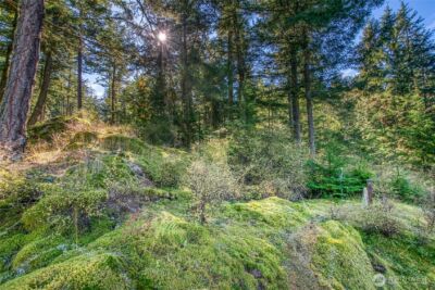 212 Eagle Lake Lane , Orcas Island, WA 98280 - Photo 3