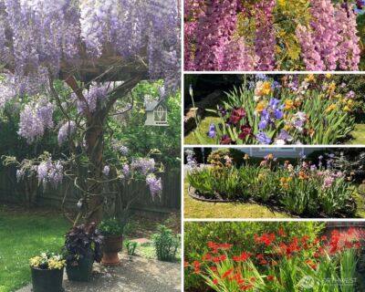 14027 SE 281st Street , Kent, WA 98042-7418 - Photo 36