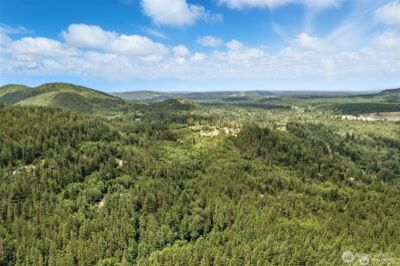 35022 SE 332nd Street , Ravensdale, WA 98051 - Photo 9