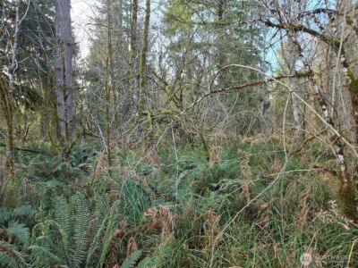 0 NKA Moore Road , Elma, WA 98541 - Photo 3