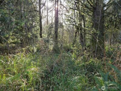 0 NKA Moore Road , Elma, WA 98541 - Photo 4