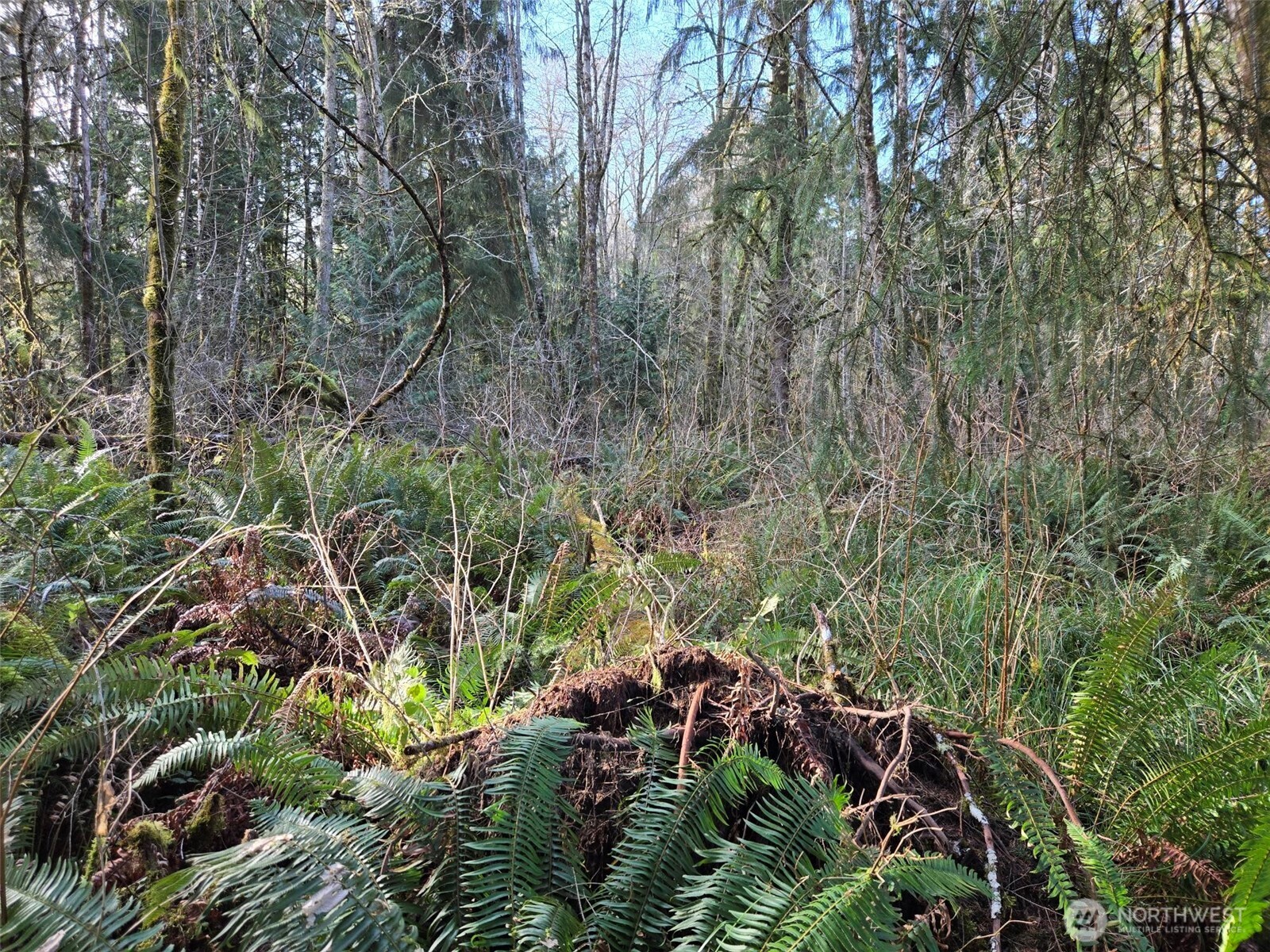 0 NKA Moore Road , Elma, WA 98541