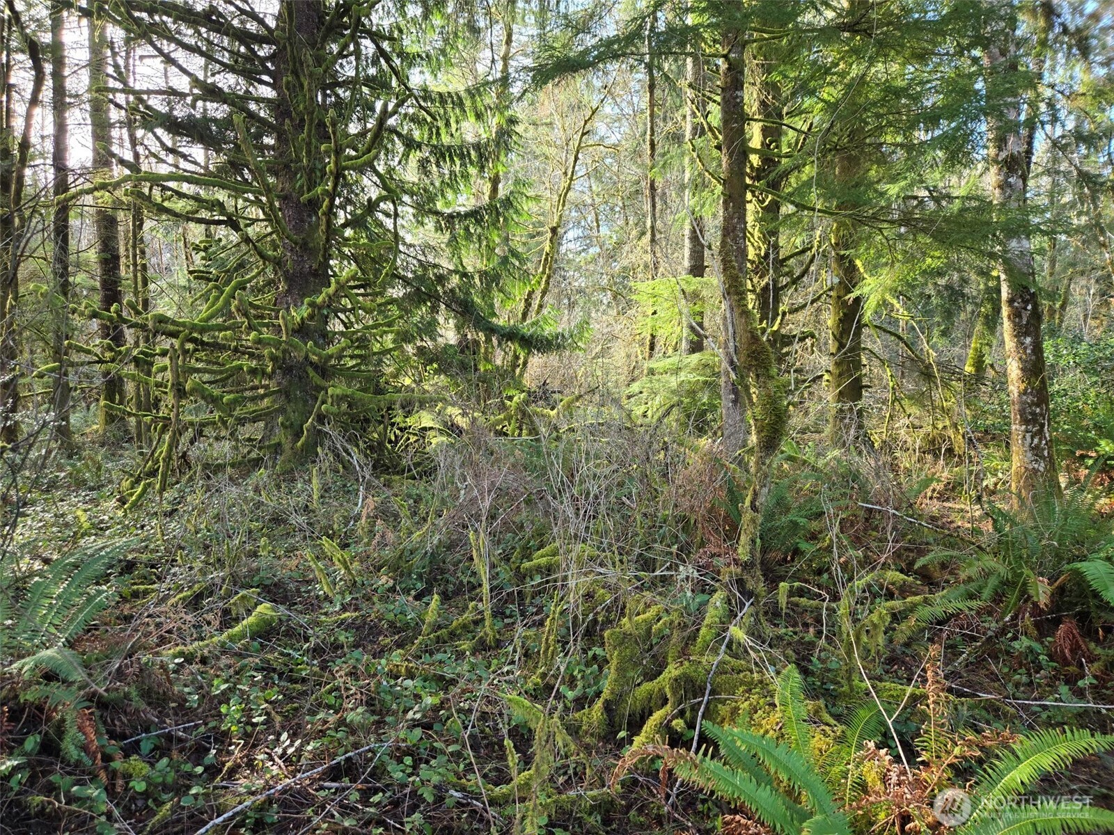 0 NKA Moore Road , Elma, WA 98541