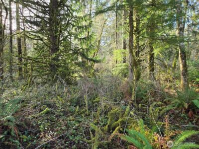 0 NKA Moore Road , Elma, WA 98541 - Photo 6