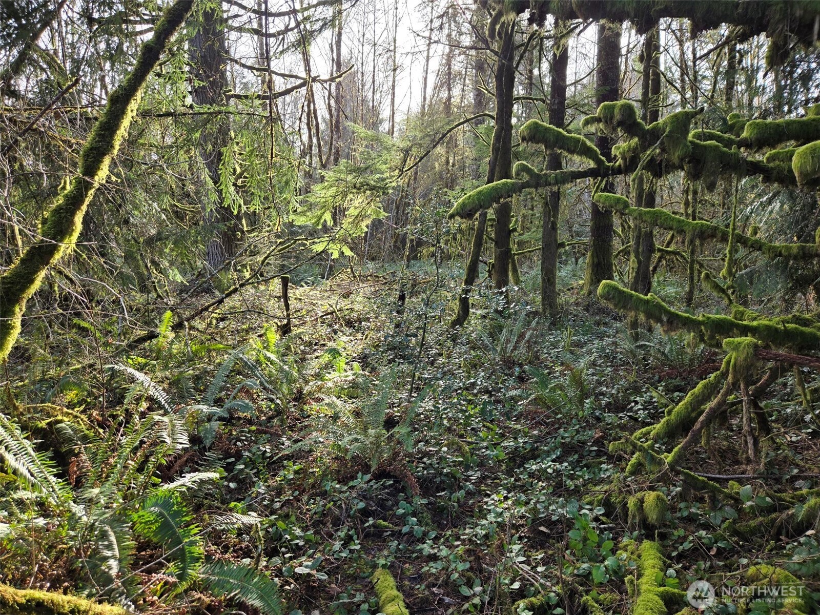 0 NKA Moore Road , Elma, WA 98541